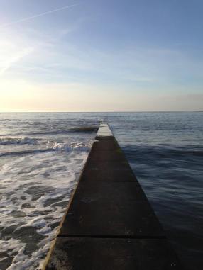 10625060_10205741215276511_5640178785561438384_n