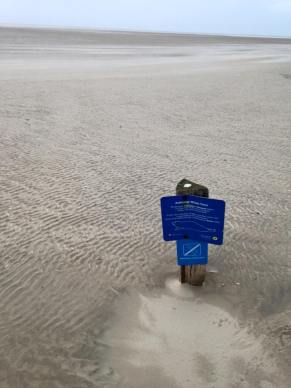 943881_10205741214636495_6543636075586817552_n